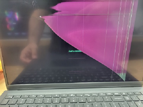 A laptop screen that has been damaged by force.